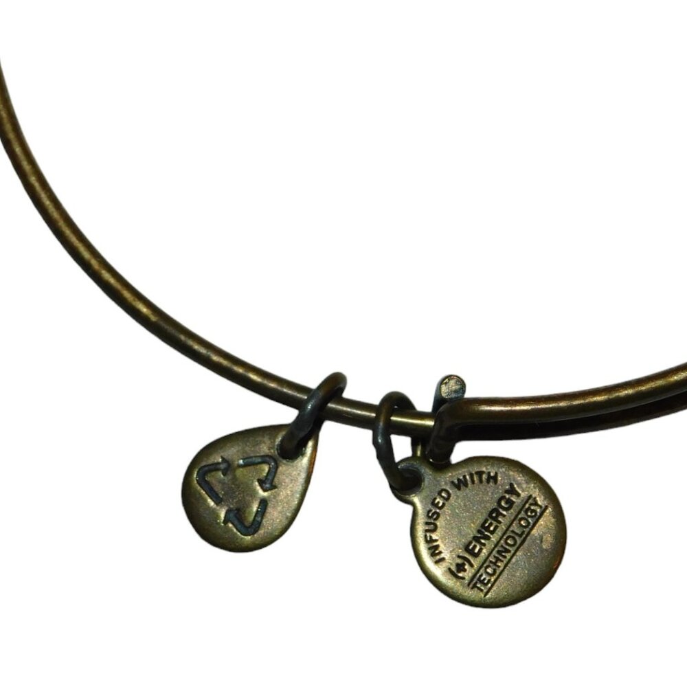 Alex And Ani Bangle Bracelets Initial C, Garnet B… - image 6